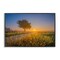 Stupell Industries Rising Sun Horizon Framed Giclee Wall Art Design by Marty Hulsebos